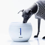 AQUA  浄水機能付き給水器