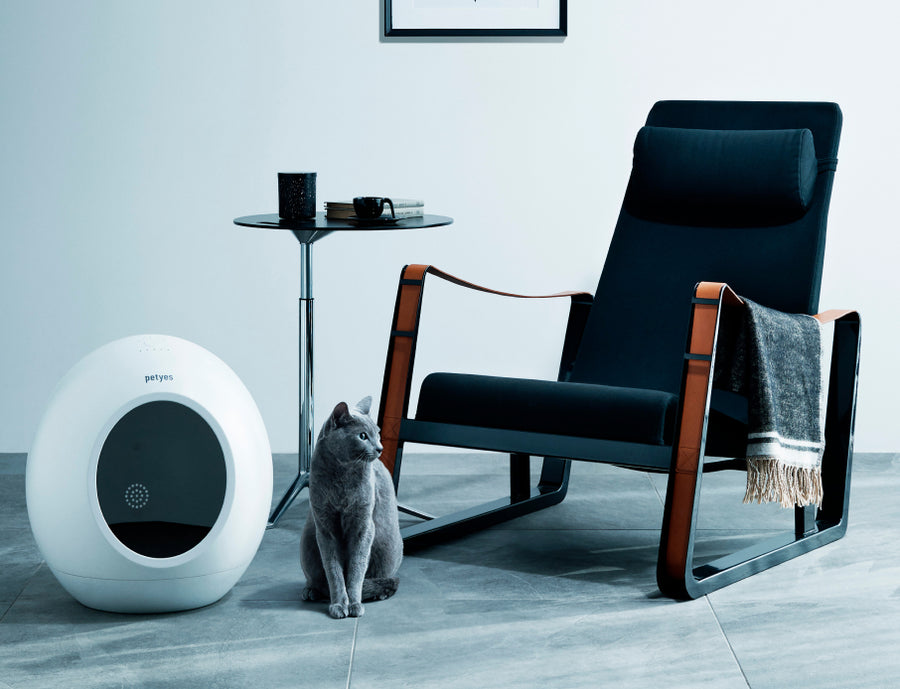 Frame_4_900x.jpg?v=1663234966