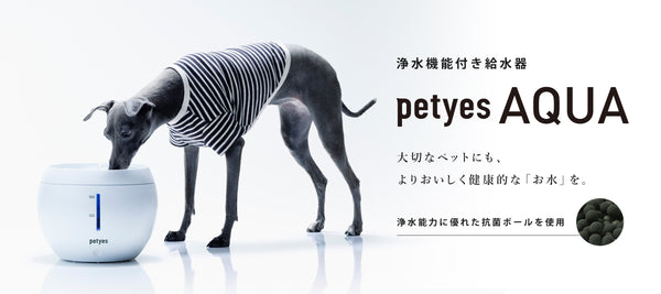 家電から、ペットと人の未来を考える。petyes