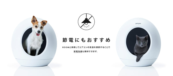 【Petyes】アクア （店頭展示品） petyes AQUA