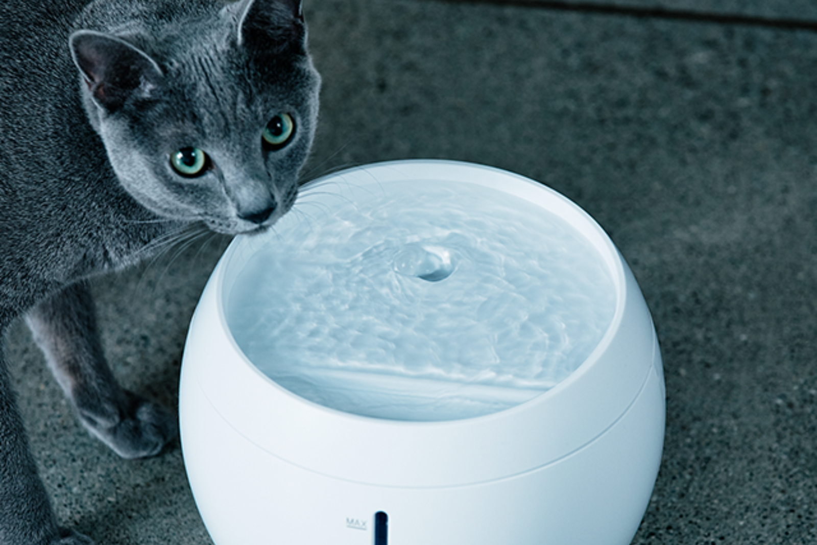 petyes-ペティエス-】犬猫用 浄水機能付き給水器 petyes-ペティエス-】犬猫用 浄水機能付き給水器